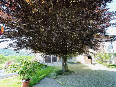 Bild 64 aus  Kollehof