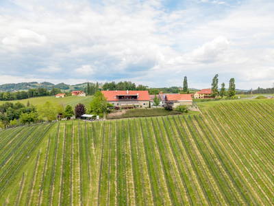 Bild 23 aus  Weingut Dworschak