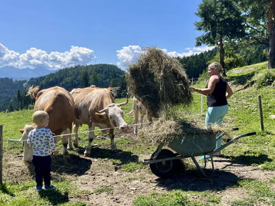 Bild 8 aus  Panorama Ferienhaus am Stopferhof