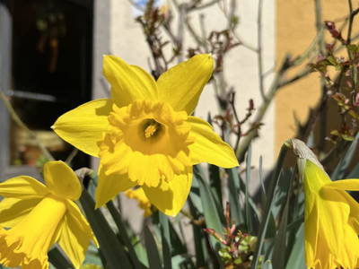 Bild 98 aus  Madritschhof