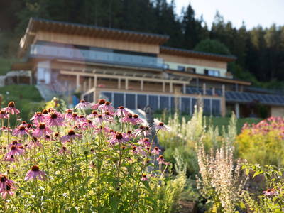 Bild 2 aus  Die Längseeleit'n