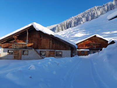 Bild 10 aus  Schönangeralm