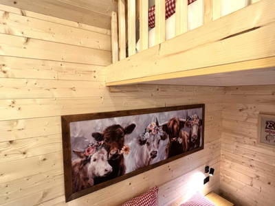 Bild 27 aus  Götzfried Almhütte