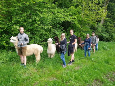 Bild 6 aus  Sweet Home Alpacas