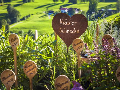 Bild 11 aus  Ederbauer