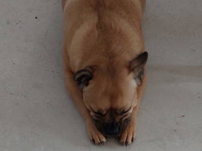 Bild 27 aus  Schönbergbauer