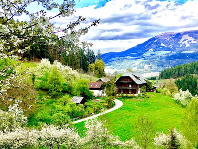 Bild 2 aus  Oberliesinger