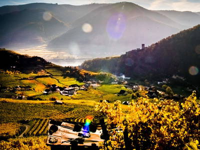 Bild 28 aus  Weingut STRAWANZER Donabaum