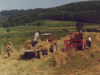 Bild 50 aus  Buchgrabenhof