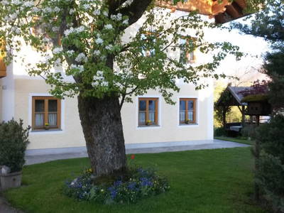 Bild 27 aus  Unteres Feld