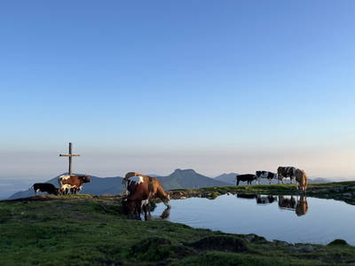 Bild 3 aus  Almchalet - Hirterhütte Trattbergalm