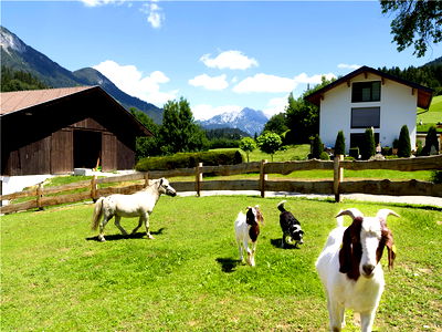 Bild 6 aus Bauernhof Vordermühltal