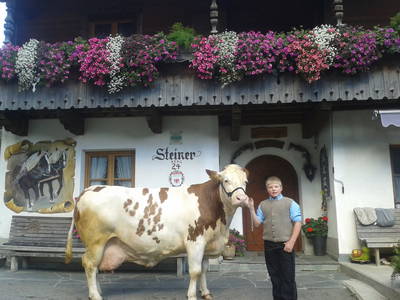 Bild 25 aus  Rieplerhof