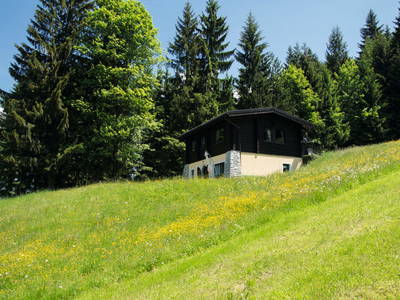 Bild 39 aus  Angerlgut