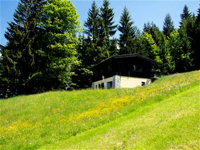 Bild 21 aus Angerlgut