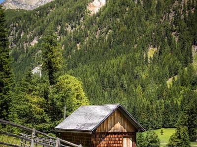 Bild 77 aus  Eseihütte