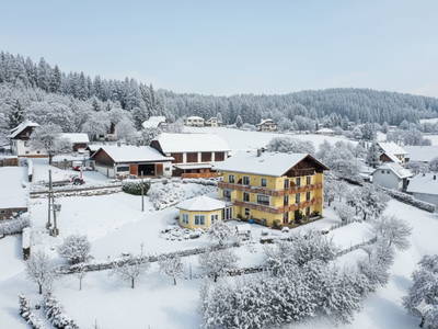 Bild 33 aus  Pleschinhof