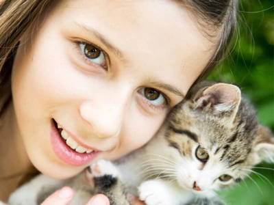 Bild 168 aus  Plaiknerbauer