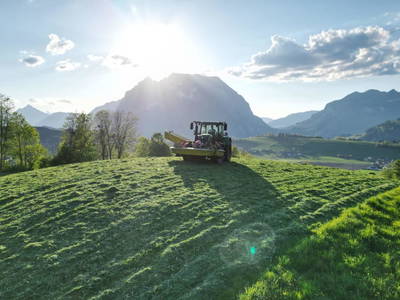 Bild 131 aus  Hüttstädterhof