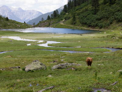 Bild 112 aus  Holzackerhof