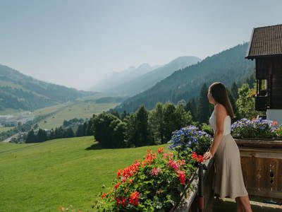 Bild 15 aus  Hattlerhof