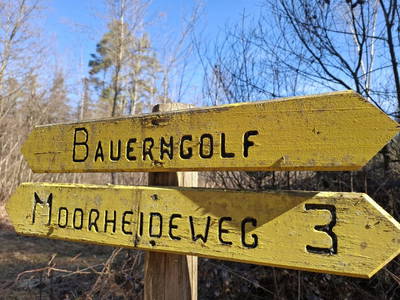 Bild 153 aus  Zehentnerhof