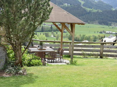 Bild 26 aus  Nöglhof