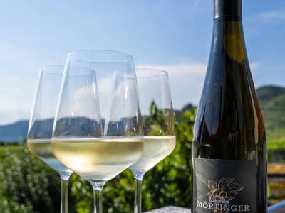 Bild 87 aus  Winzerhof Mörtinger