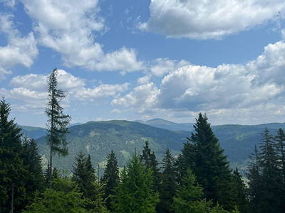 Bild 245 aus Neuwirth Hütte