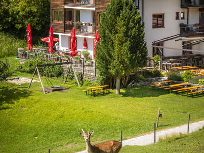 Bild 127 aus  Bachrain - Bio am Berg 