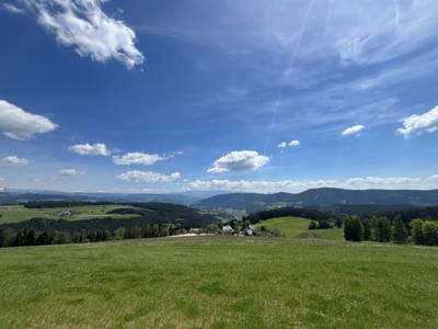 Bild 2 aus  Madritschhof