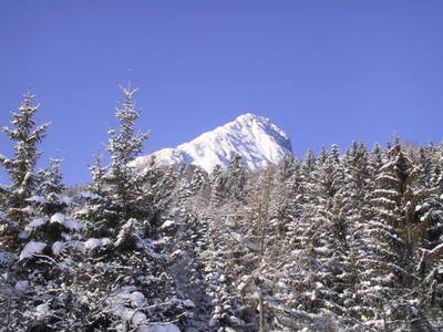 Bild 53 aus  Stanglhof