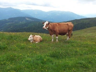 Bild 28 aus  Thürerhütte