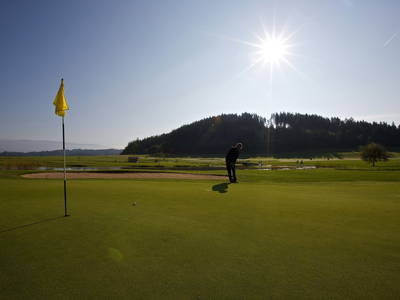 Bild 35 aus  Panorama Hof Fa. Sereinig