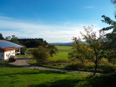 Bild 12 aus  Schusterhof