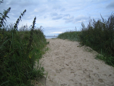 Bild 5 aus  Reethaus Aarne