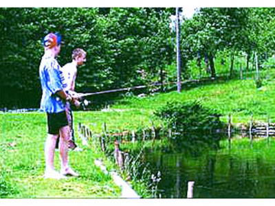 Bild 3 aus  Schmidbauernhof