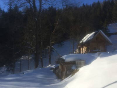 Bild 37 aus  Holzknechthütte