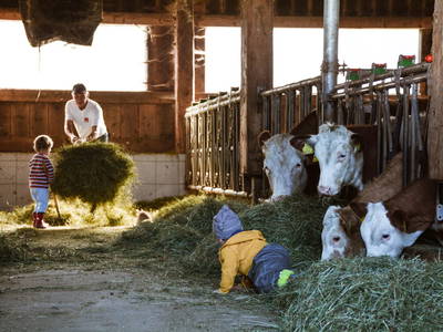 Bild 53 aus  Almhof Unterranner