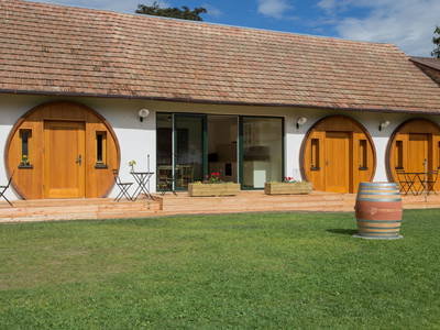 Bild 145 aus  Winzerhof Küssler, Weinviertel