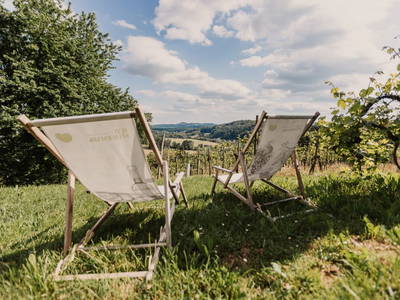 Bild 22 aus  Ferienhaus Schweinzger