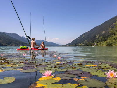 Bild 45 aus  Tom's Alpenhütte