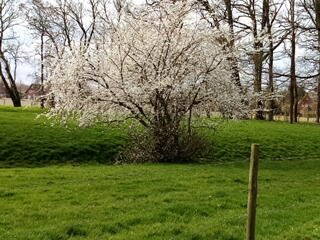 Bild 23 aus  Hof Vorwerk Familie Böye