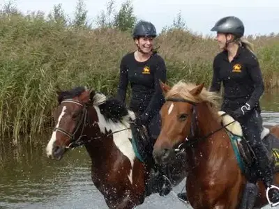 Bild 12 aus  Bernsteinreiter Barth