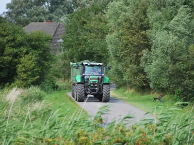 Bild 13 aus  Ferienhof Friedenshof