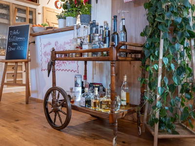 Bild 90 aus  Ebner 1822