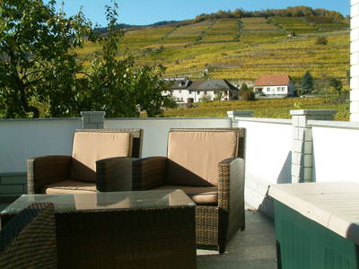 Bild 115 aus  Weingut STRAWANZER Donabaum