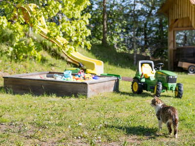 Bild 9 aus  Bauernhof Seppl am Berg