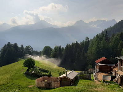 Bild 129 aus  Tiefhof