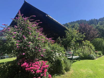 Bild 40 aus  Hochhuber